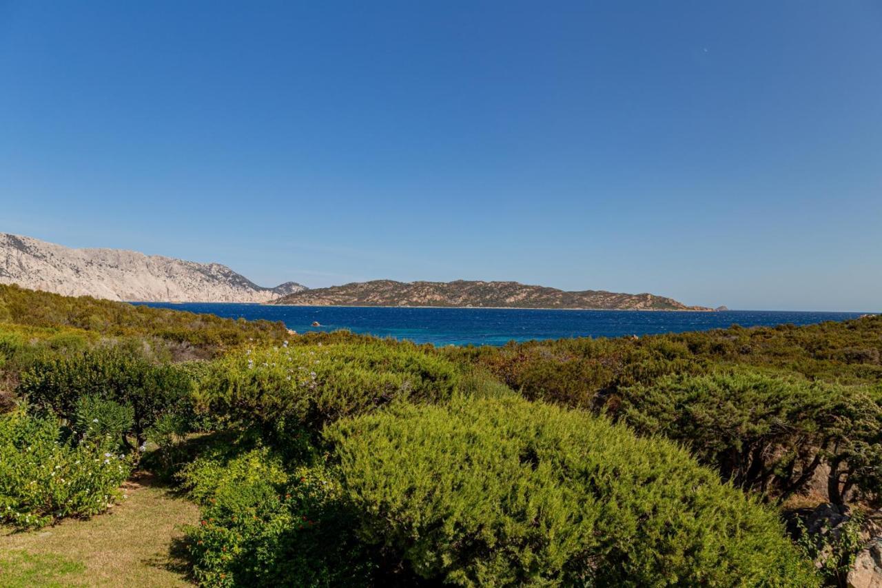Appartamento Cala Paradiso San Teodoro  Luaran gambar